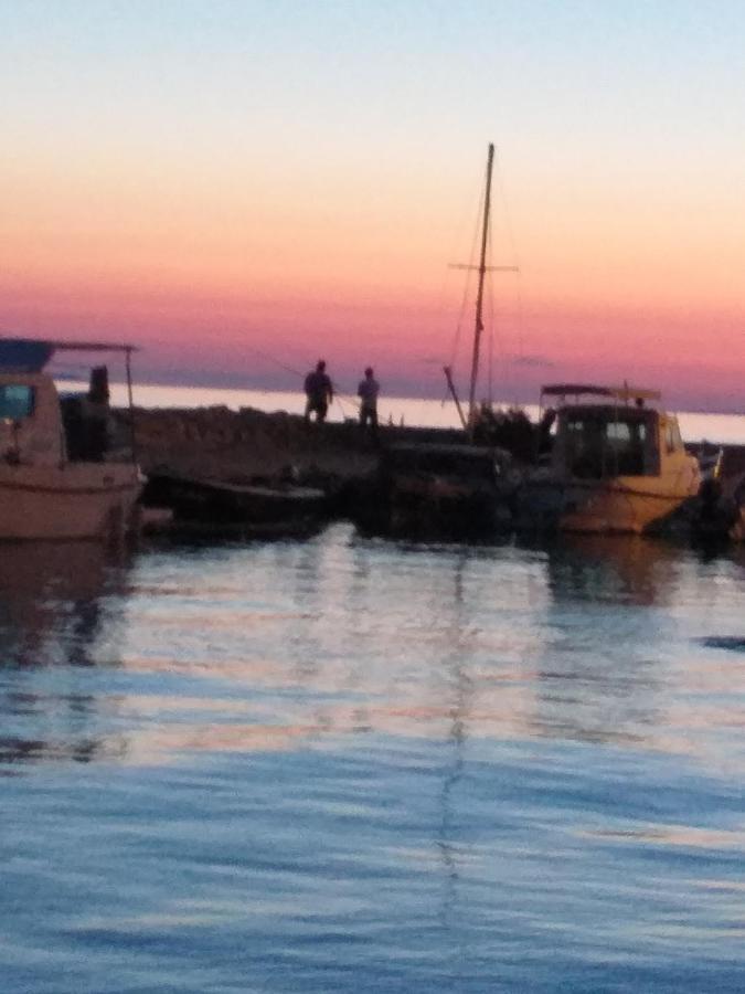 Apartment Yelena Rose West Zadar Bagian luar foto