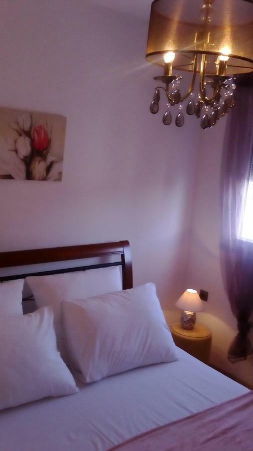 Apartment Yelena Rose West Zadar Bagian luar foto