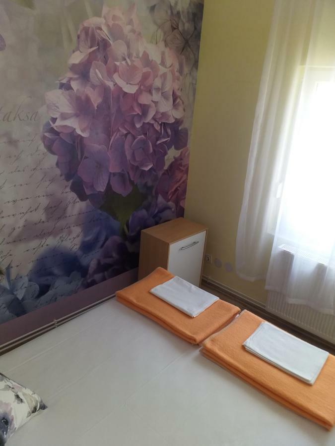 Apartment Yelena Rose West Zadar Bagian luar foto
