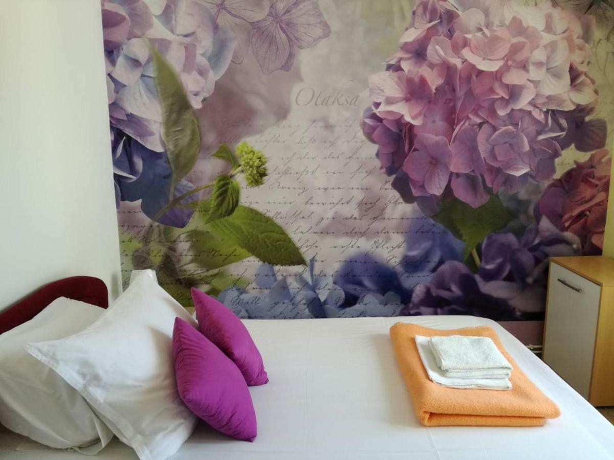 Apartment Yelena Rose West Zadar Bagian luar foto