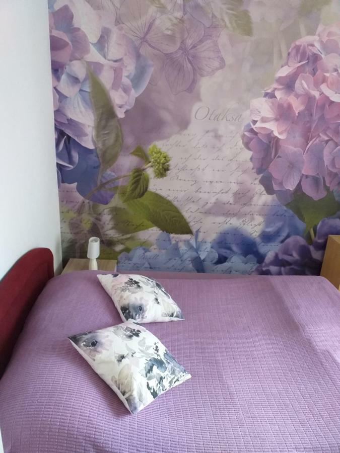 Apartment Yelena Rose West Zadar Bagian luar foto