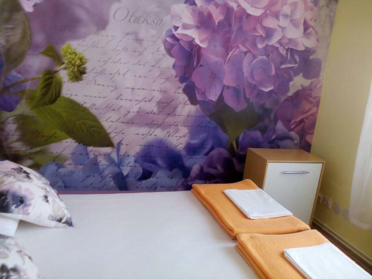 Apartment Yelena Rose West Zadar Bagian luar foto