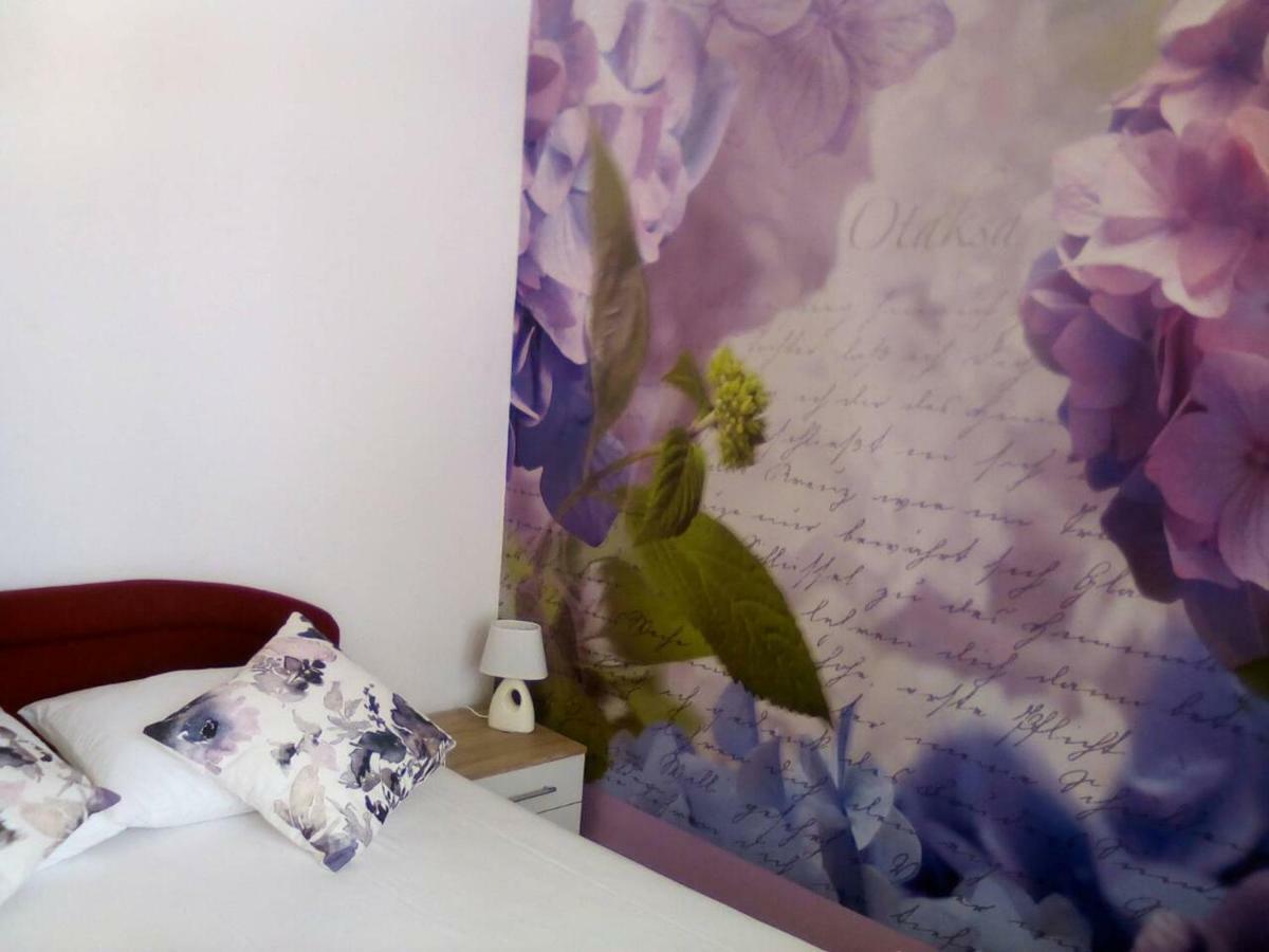 Apartment Yelena Rose West Zadar Bagian luar foto