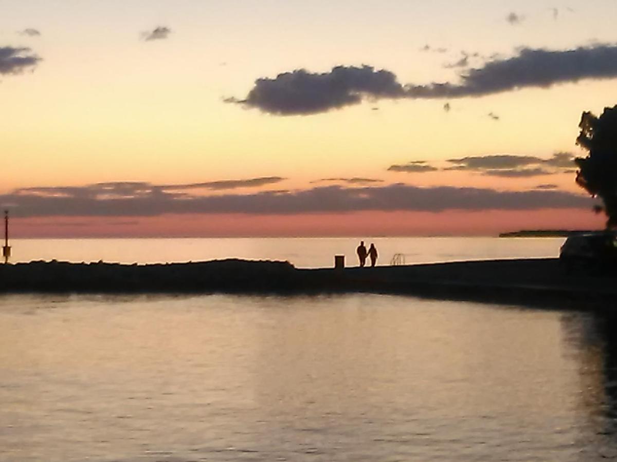 Apartment Yelena Rose West Zadar Bagian luar foto